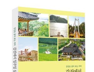 기사이미지