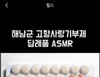 기사이미지